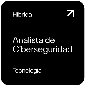 Analista de Ciberseguridad