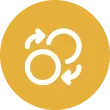 Icono
