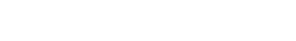 n1cobusiness